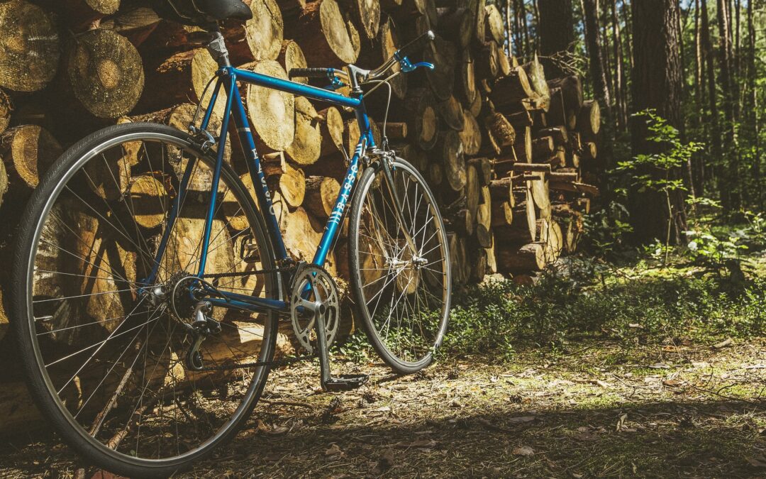 Le retour des vieux vélos